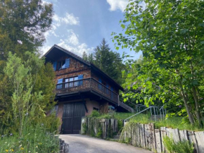 Chalet L'envolée Bleue Xonrupt-Longemer